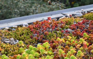 the cost of Bradmore green roof installation