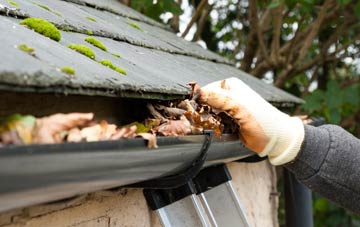 gutter cleaning Bradmore